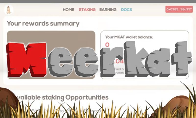 File:Meerkatfinance.jpg
