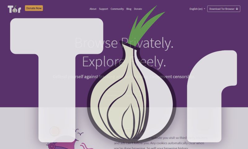 File:Torproject.jpg