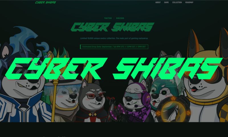 File:Cybershibas.jpg