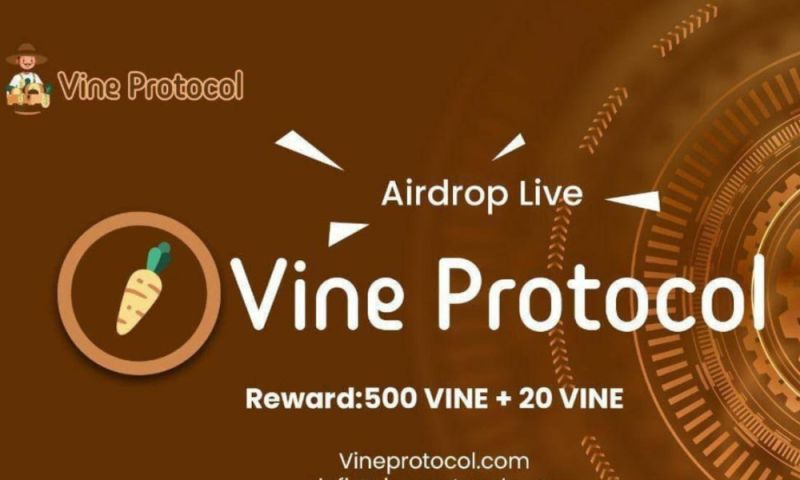 File:Vineprotocol.jpg