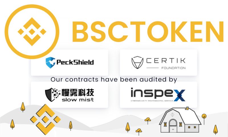 File:Bsctoken.jpg