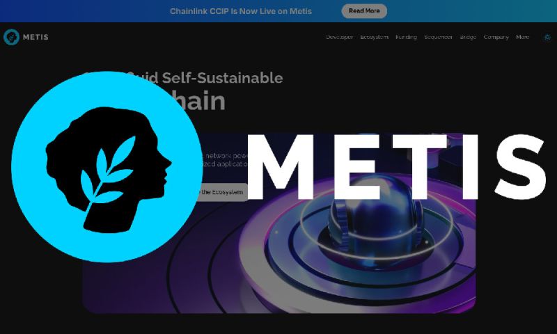File:Metisl2.jpg